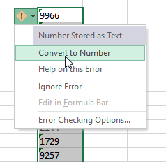 Выпадающее меню слева от числа, сохранённого как текст. В меню есть опция 'Convert to Number'.
